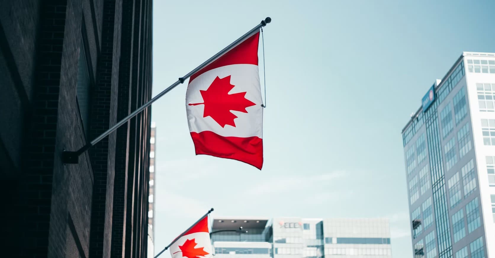 Canadian flags flying from a building on a city street in Toronto